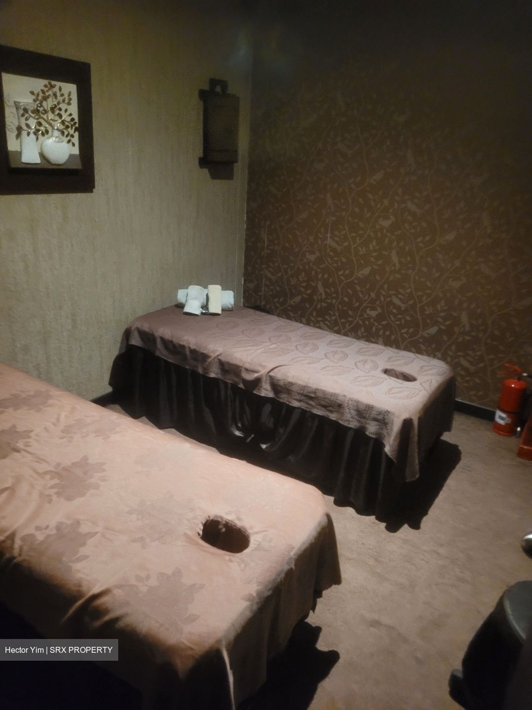 Telok Ayer Conservation Area (D1), Shop House #629267241